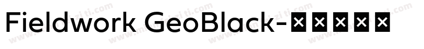 Fieldwork GeoBlack字体转换